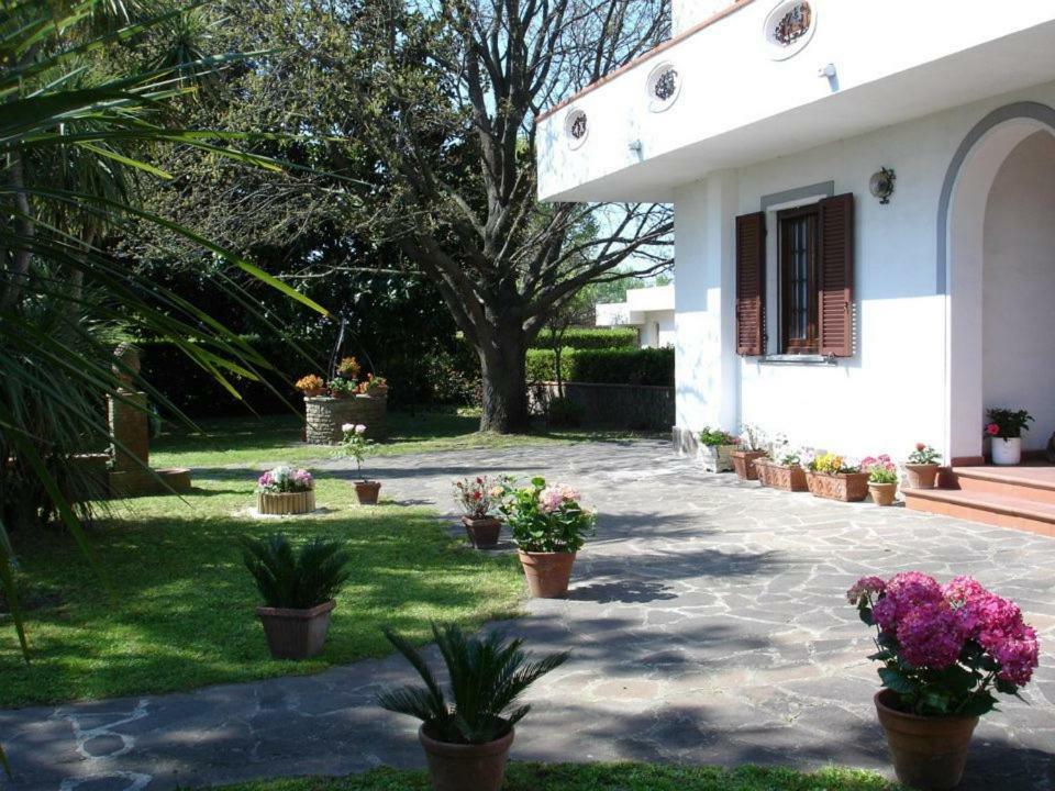 B&B Carla Pisa Buitenkant foto