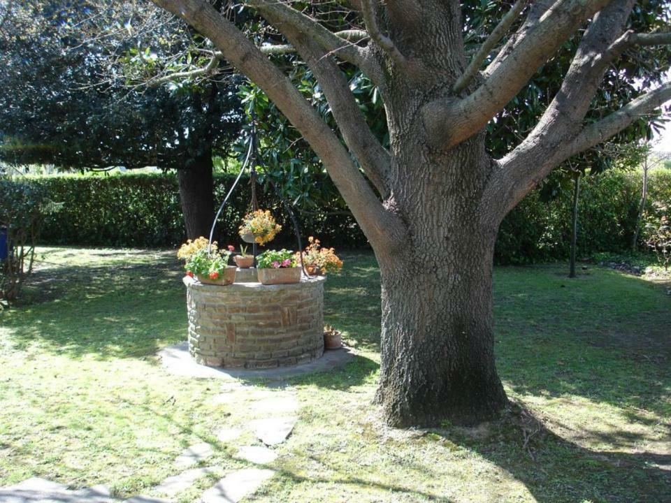B&B Carla Pisa Buitenkant foto