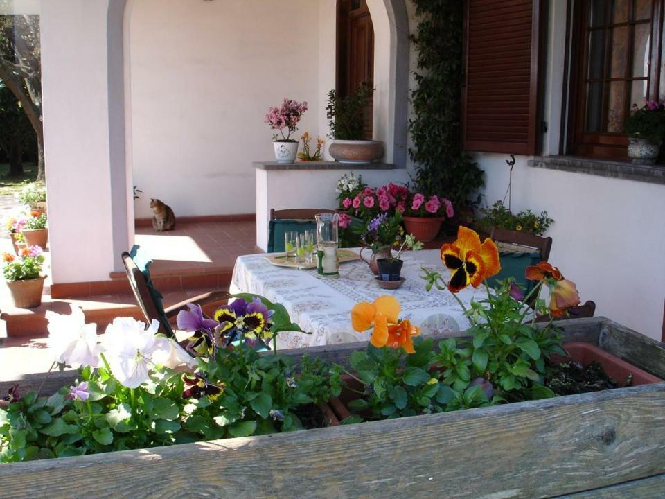 B&B Carla Pisa Buitenkant foto