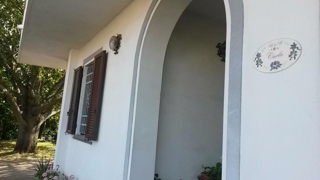 B&B Carla Pisa Buitenkant foto